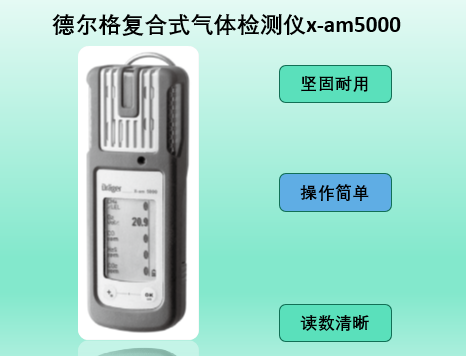 1-2009251555511S 德尔格x-am5000气体检测仪说明书(操作手册)