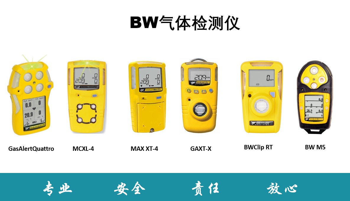 BW气体检测仪