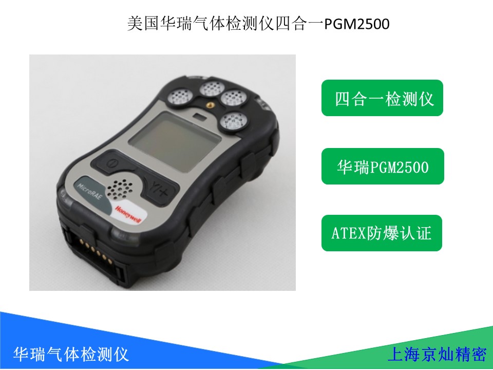 ���������������� �ĺ�һPGM2500